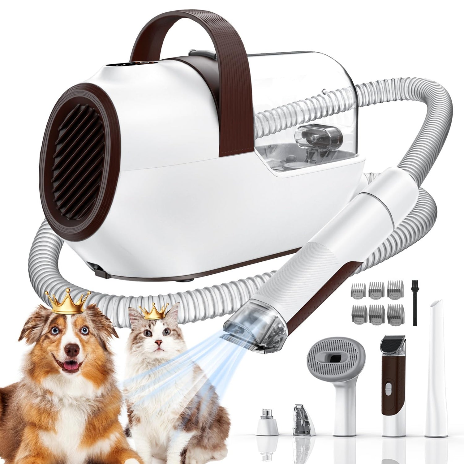Dog Grooming