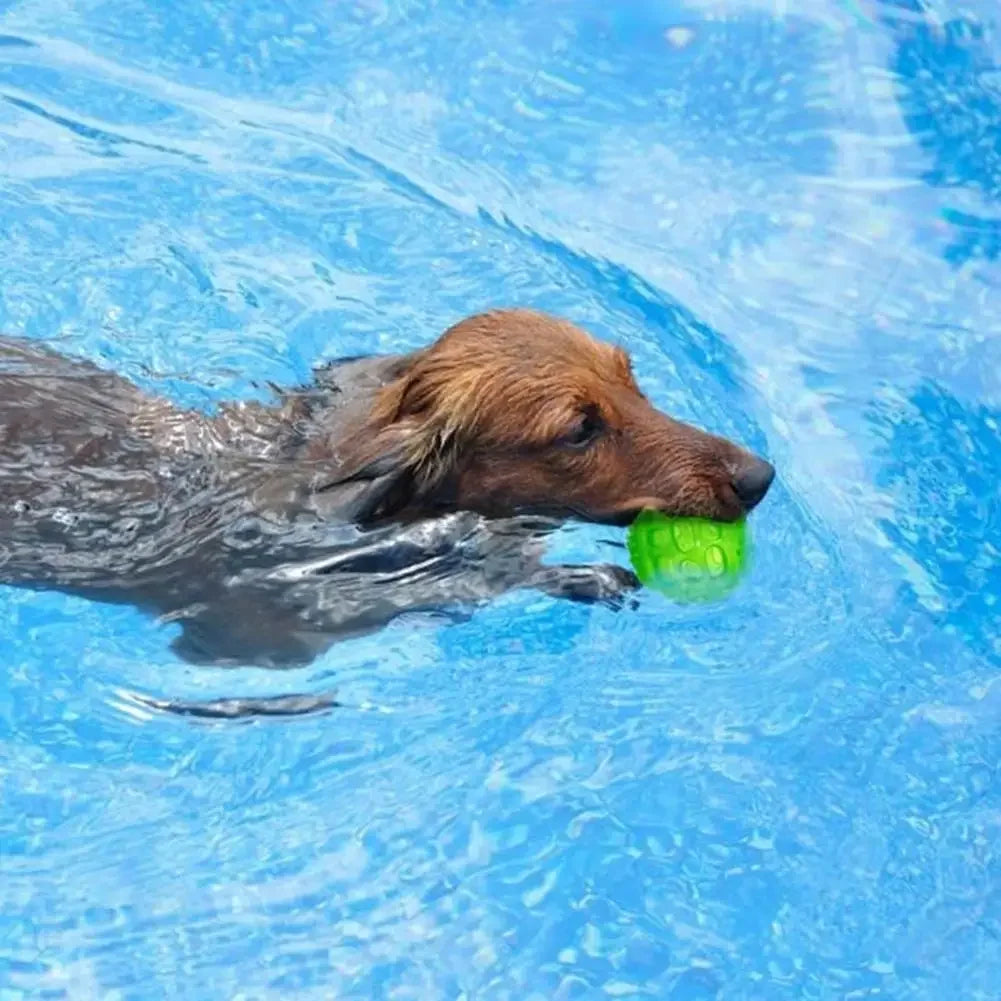 Dog Games Interactive Toys Ball Toys Anti Bite Squeak Teeth Cleaning Chewing Car Model Training Accessories Pet Products